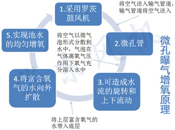 黄瓜视频污污污式增氧機原理