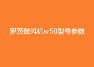 黄瓜视频污污污鼓風機sr50型號參數.jpg